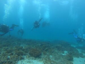 ドライスーツで冬も快適ダイビング!in川奈ビーチ2025-12-6