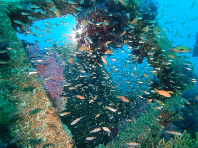 群れ群れピラミッド漁礁!