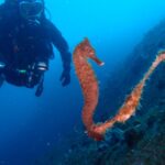 2025年も沢山のご来店ありがとうございました。2025-12-31