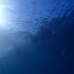 冬は透明度が絶好調！川奈ビーチ2025-12-15