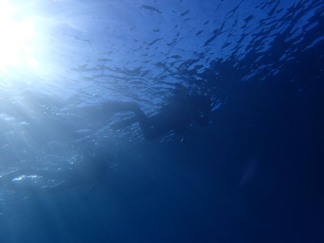 冬は透明度が絶好調!川奈ビーチ2025-12-15