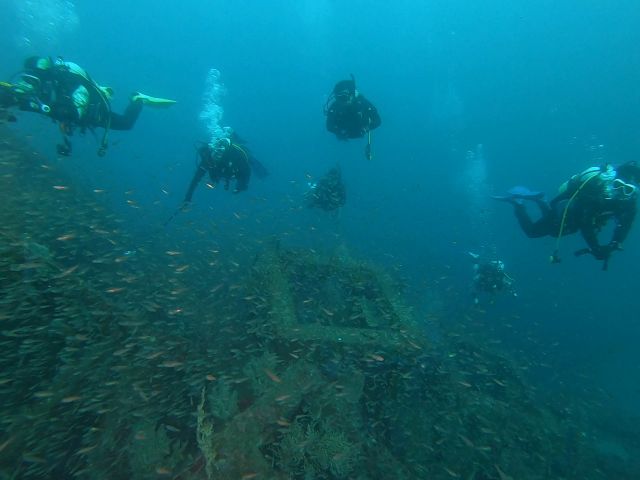 群れ群れピラミッド