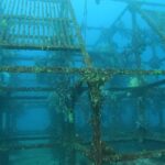 初島ツアーに行ってきました!2026-1-24