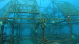 初島ツアーに行ってきました！2026-1-24