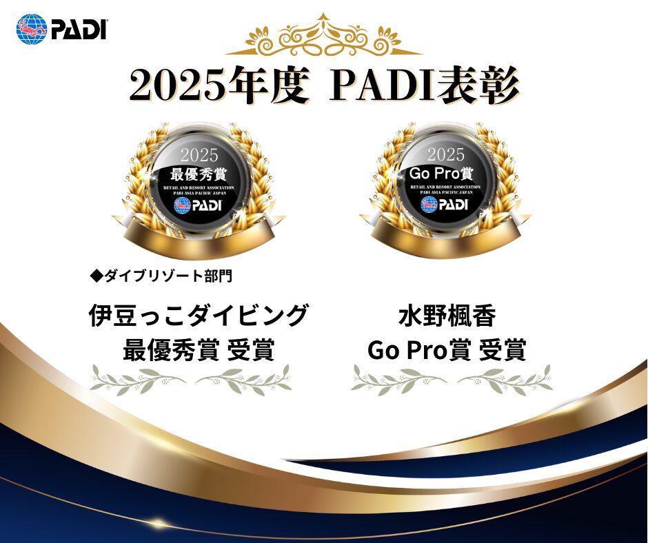 2025年度PADI表彰をいただきました!
