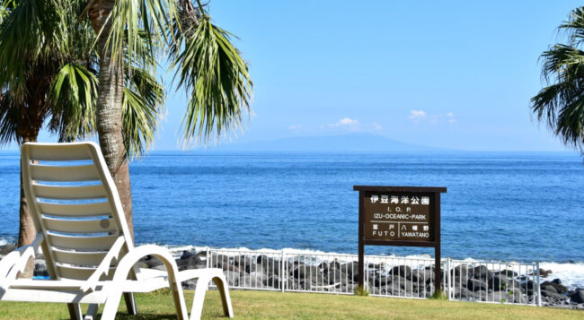 伊豆海洋公園　海の風景