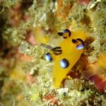 北川ツアーに行ってきました！2026-1-25