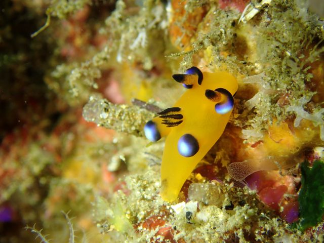 北川ツアーに行ってきました！2026-1-25