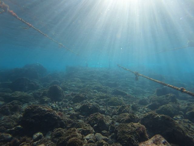 川奈エントリー口