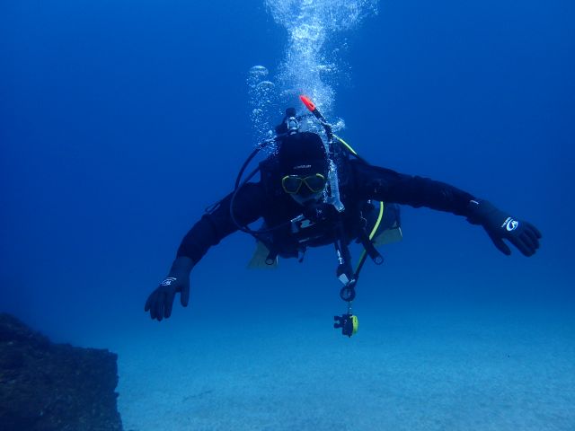 トリム練習中。