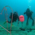 伊豆海洋公園バレンタインツアー！2026-2-14