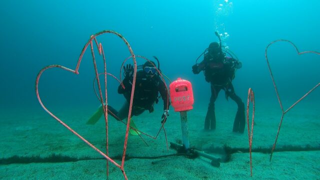 伊豆海洋公園バレンタインツアー!2026-2-14