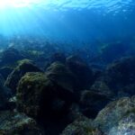 気持ちの良い晴れ空と抜群の透明度！川奈ビーチ　2026-2-15