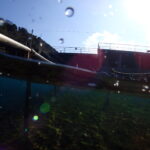 透明度バッチリの川奈ビーチでOW講習最終日! 2026-2-18