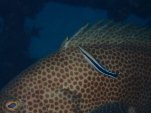 川奈ビーチでじっくりSP講習！　 2026-2-7