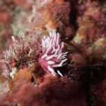 マンツーマンの貸し切り川奈ビーチ!(^^)!2026-3-17