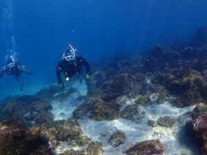 透明度20mオーバー!青く澄んだ川奈ビーチでドライスーツSP講習!2026-3-1