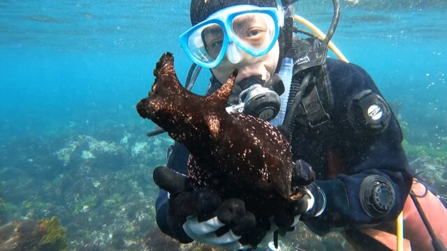 大きいアメフラシを手に持った人