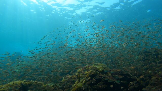 テトラポット沿い