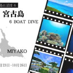 10月23日(金)～26日(月)。秋の沖縄・宮古島6ボート付きツアー参加者募集中！