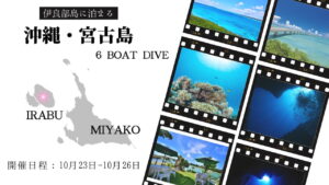 10月23日(金)～26日(月)。秋の沖縄・宮古島6ボート付きツアー参加者募集中！