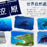 2026年11月19日~24日。世界自然遺産の海~小笠原~
