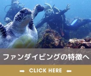 ファンダイビングの特徴へ