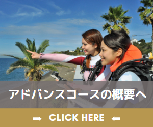 アドバンスコース概要へ