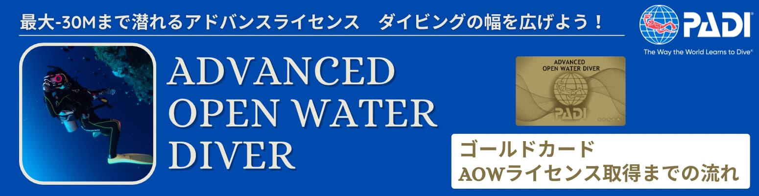 PADIアドバンス（AOW）取得コースの流れ|伊豆っこダイビング