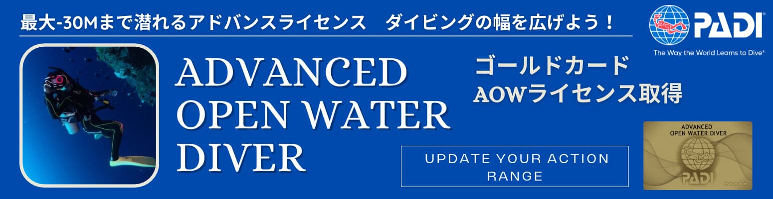 伊豆でPADIアドバンス（AOW）取得なら伊豆っこダイビングへ