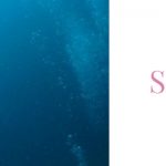 ダイビングスクール料金一覧|伊豆っこダイビング