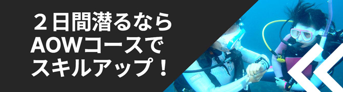 アドバンスとファンダイビングの金額について