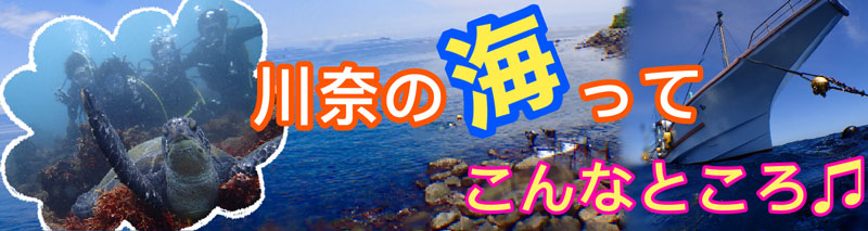 川奈の海の見どころ