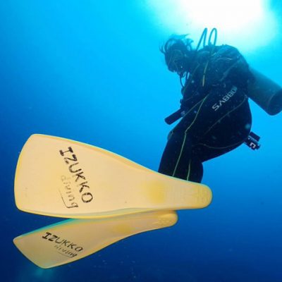 伊豆っこ足ヒレの写真